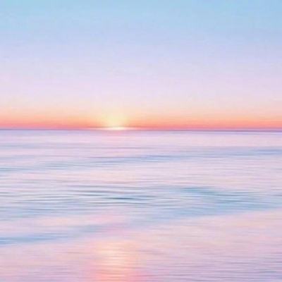 皇家88下载手机版