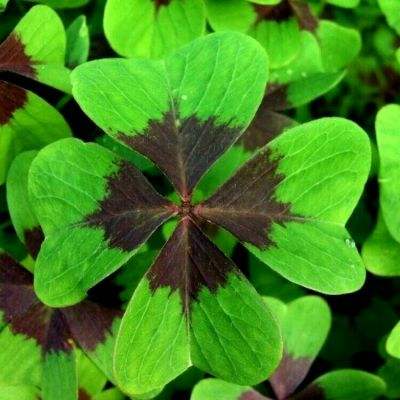 Bsport体育在线官网