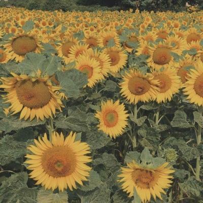 NG南宫28官网登录