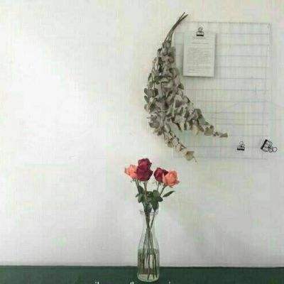 天博tb·体育综合