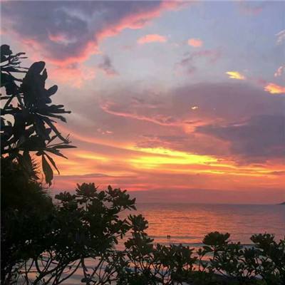 BET9官方APP下载正版