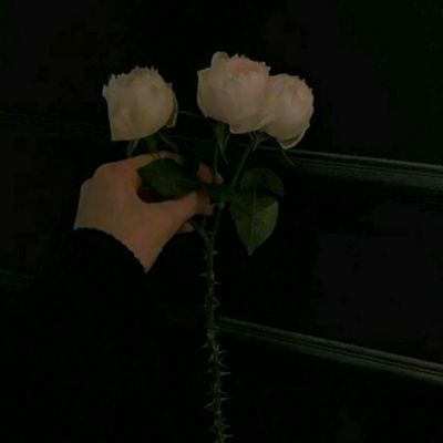 ayx在线登录入口app下载截图